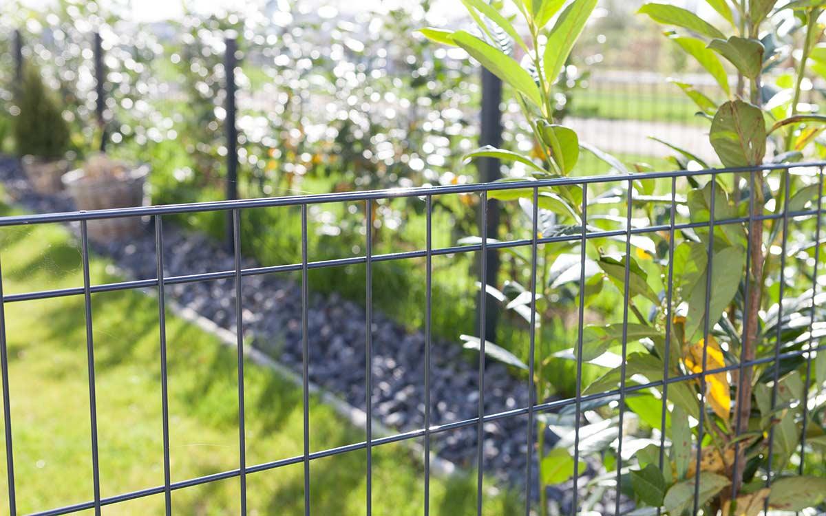 Doppelstabmattenzaun Metallzaun im Garten mit grünen Pflanzen und Kiesrand