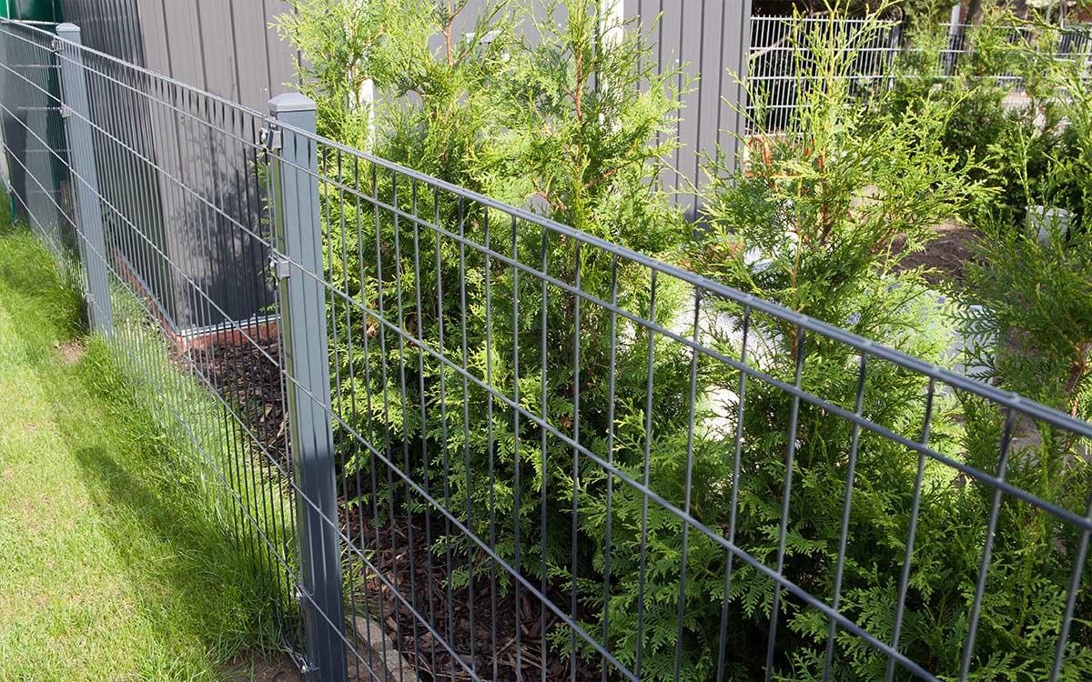 Doppelstabmattenzaun aus Metall, montiert im Garten neben grünen Koniferenhecken