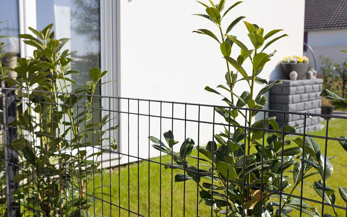 Doppelstabmattenzaun Metall mit grünen Pflanzen im modernen Garten vor Haus
