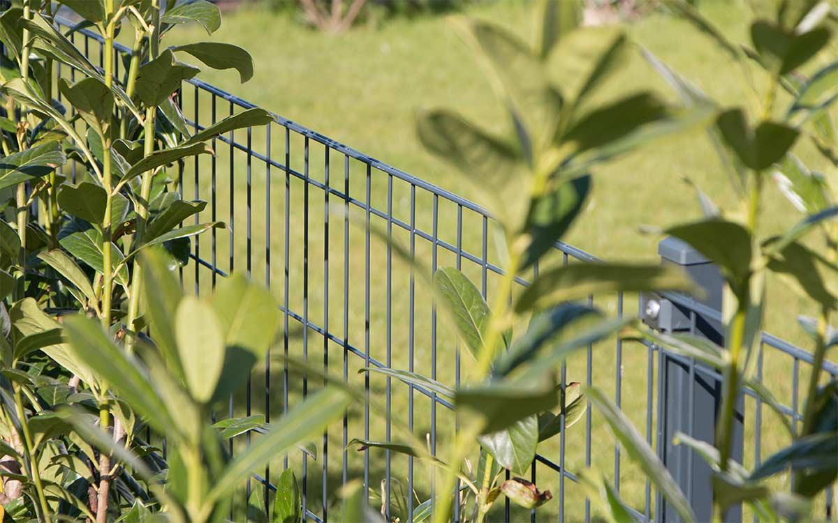 Doppelstabmattenzaun aus Metall im Garten, umgeben von grünen Pflanzen, modernes Zaunsystem