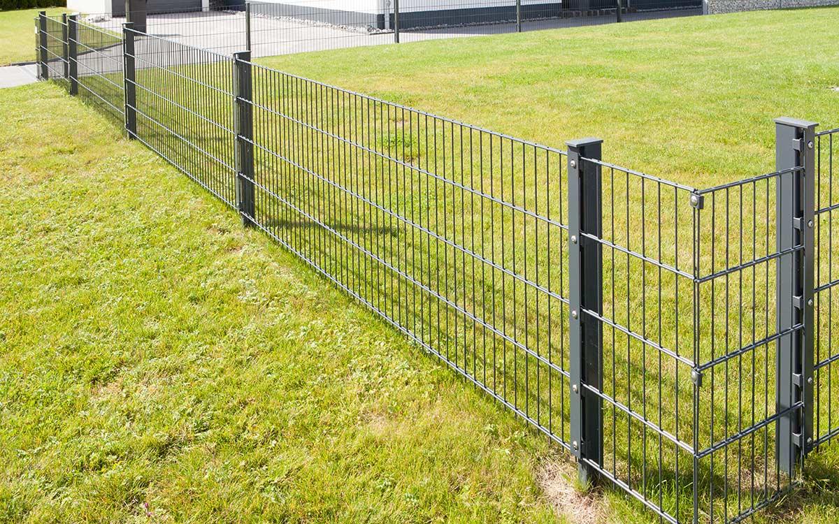 Doppelstabmattenzaun 6/5/6 Modell Moritz aus Metall auf grünem Rasen, moderner Gartenzaun