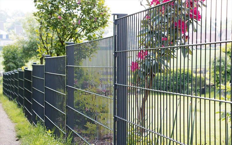 Doppelstabmattenzaun 8/6/8 in Anthrazit mit Garten und blühendem Strauch im Hintergrund