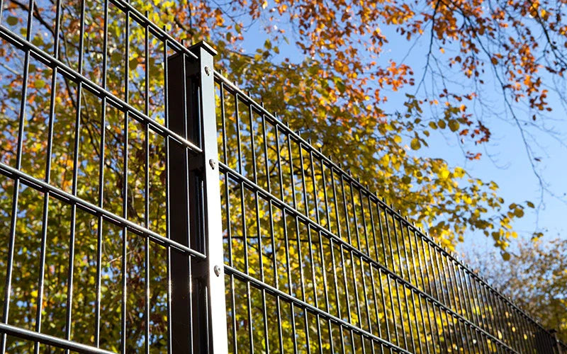 Doppelstabmattenzaun 8/6/8 im Garten bei Herbstwetter, stabile Metallzaunkonstruktion
