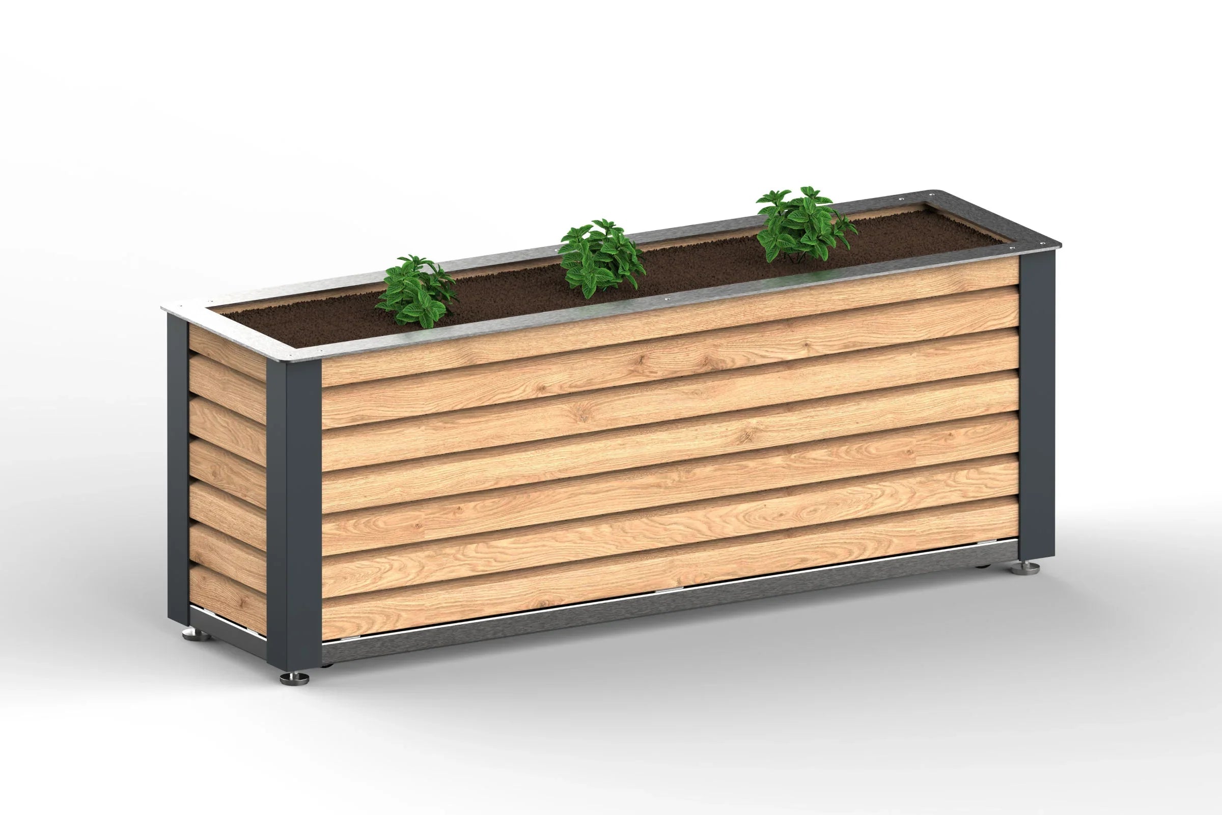 Kleines Hochbeet aus Metall und Holz, bepflanzt mit drei grünen Pflanzen, modern gestaltet