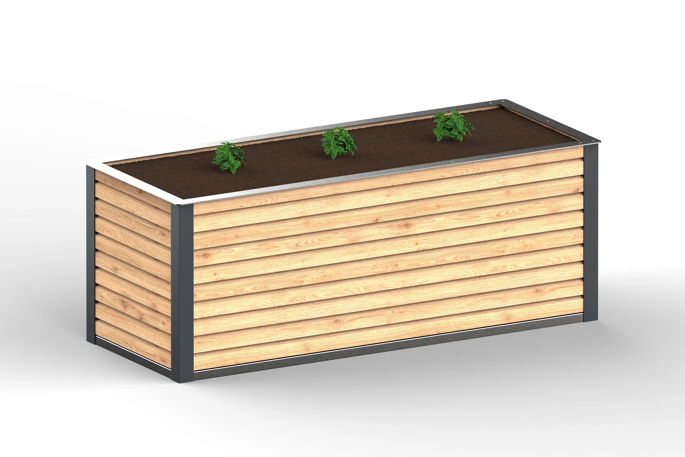 Modernes Hochbeet aus Holz und Edelstahl mit drei Pflanzen, rechteckig, RAL 7016.