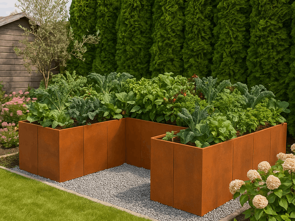 U-förmiges Hochbeet aus Cortenstahl mit Gemüse im Garten
