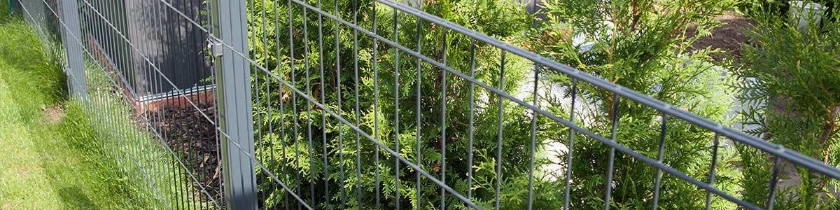Doppelstabmattenzaun anthrazit im Garten mit Sichtschutzpflanzen und Gras