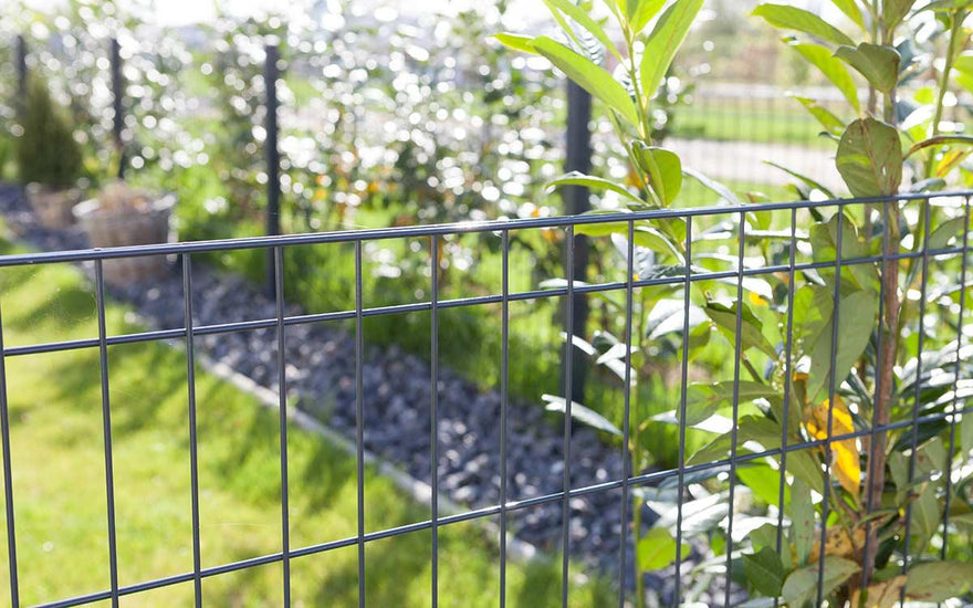Doppelstabmattenzaun Metallzaun im Garten mit grünen Pflanzen und Kiesrand