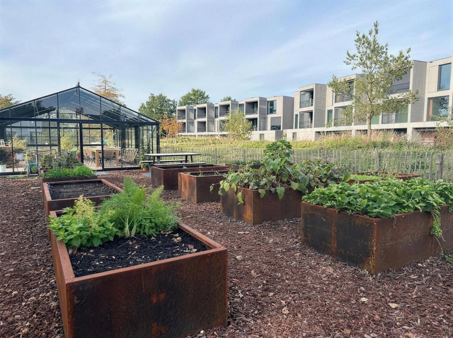 Mehrere Cortenstahl Hochbeete nach Maß im Gemeinschaftsgarten mit Gewächshaus – Urban Gardening mit Gemüse und Kräutern