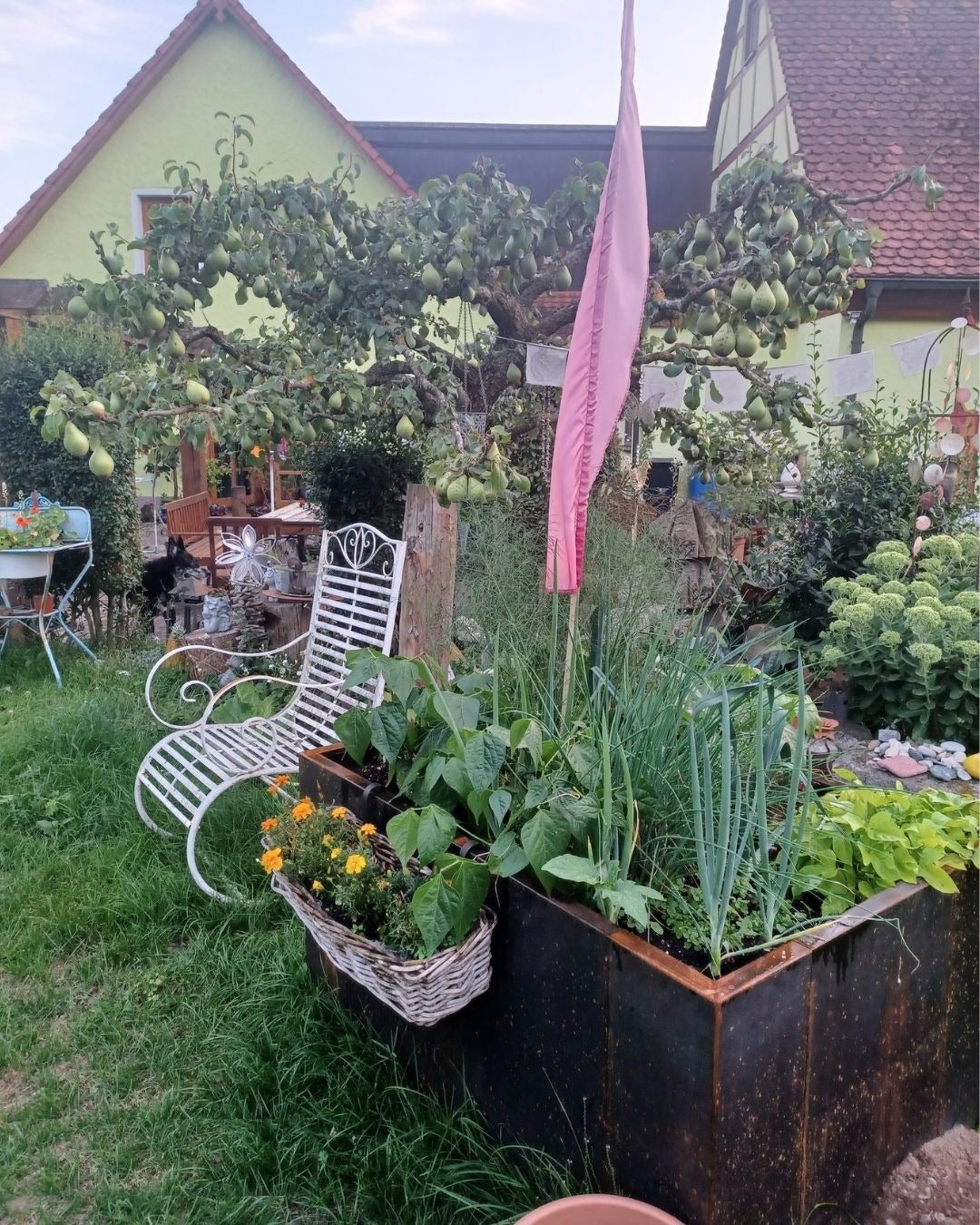 Kundenfoto: bepflanztes Cortenstahl Hochbeet nach Maß im Bauerngarten – mit Bohnen, Zwiebeln, Kräutern und Blumenkorb an der Oberkante