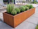 Langes flaches Cortenstahl Hochbeet auf moderner Terrasse mit Rosmarin, Lavendel und Salbei bepflanzt